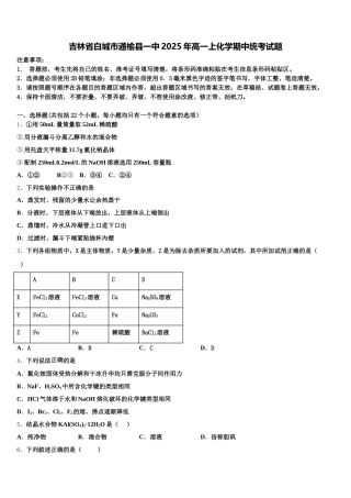 吉林省白城市通榆县一中2025年高一上化学期中统考试题含解析