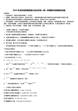 2025年吉林省辉煌联盟九校化学高一第一学期期中经典模拟试题含解析