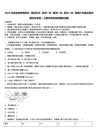 2025年吉林省桦甸四中、梅河五中、蛟河一中、柳河一中、舒兰一中、辉南六中重点高中盟校化学高一上期中综合测试模拟试题含解析