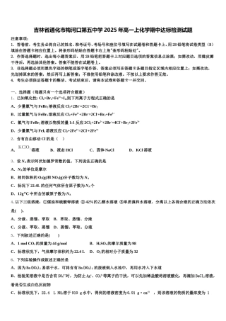 吉林省通化市梅河口第五中学2025年高一上化学期中达标检测试题含解析