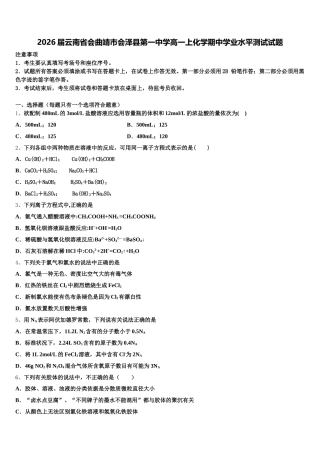 2026届云南省会曲靖市会泽县第一中学高一上化学期中学业水平测试试题含解析