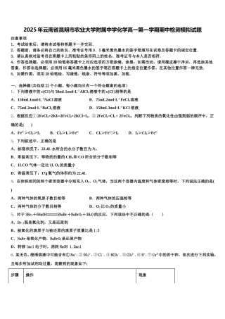 2025年云南省昆明市农业大学附属中学化学高一第一学期期中检测模拟试题含解析
