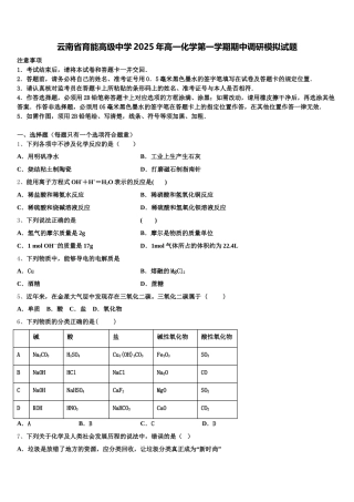 云南省育能高级中学2025年高一化学第一学期期中调研模拟试题含解析