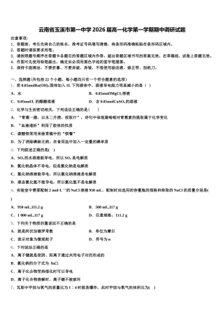云南省玉溪市第一中学2026届高一化学第一学期期中调研试题含解析