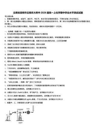 云南省昆明市云南农大附中2026届高一上化学期中学业水平测试试题含解析