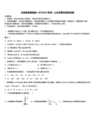 云南省麻栗坡县一中2025年高一上化学期中监测试题含解析