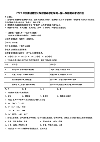 2025年云南省师范大学附属中学化学高一第一学期期中考试试题含解析