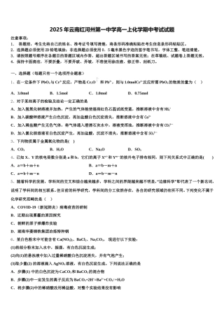 2025年云南红河州第一中学高一上化学期中考试试题含解析