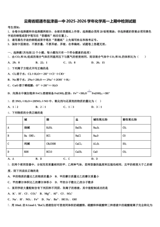 云南省昭通市盐津县一中2025-2026学年化学高一上期中检测试题含解析