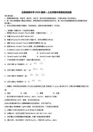 云南民族中学2026届高一上化学期中质量检测试题含解析