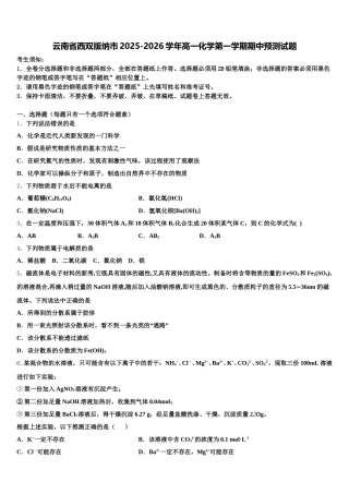 云南省西双版纳市2025-2026学年高一化学第一学期期中预测试题含解析