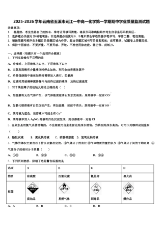 2025-2026学年云南省玉溪市元江一中高一化学第一学期期中学业质量监测试题含解析