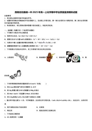 西南名校曲靖一中2025年高一上化学期中学业质量监测模拟试题含解析