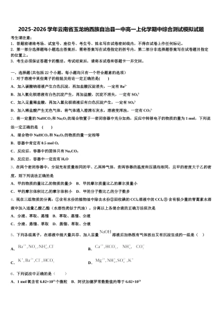 2025-2026学年云南省玉龙纳西族自治县一中高一上化学期中综合测试模拟试题含解析