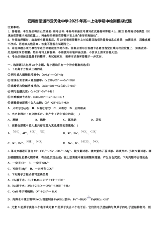 云南省昭通市云天化中学2025年高一上化学期中检测模拟试题含解析