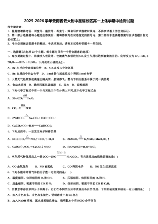 2025-2026学年云南省云大附中星耀校区高一上化学期中检测试题含解析