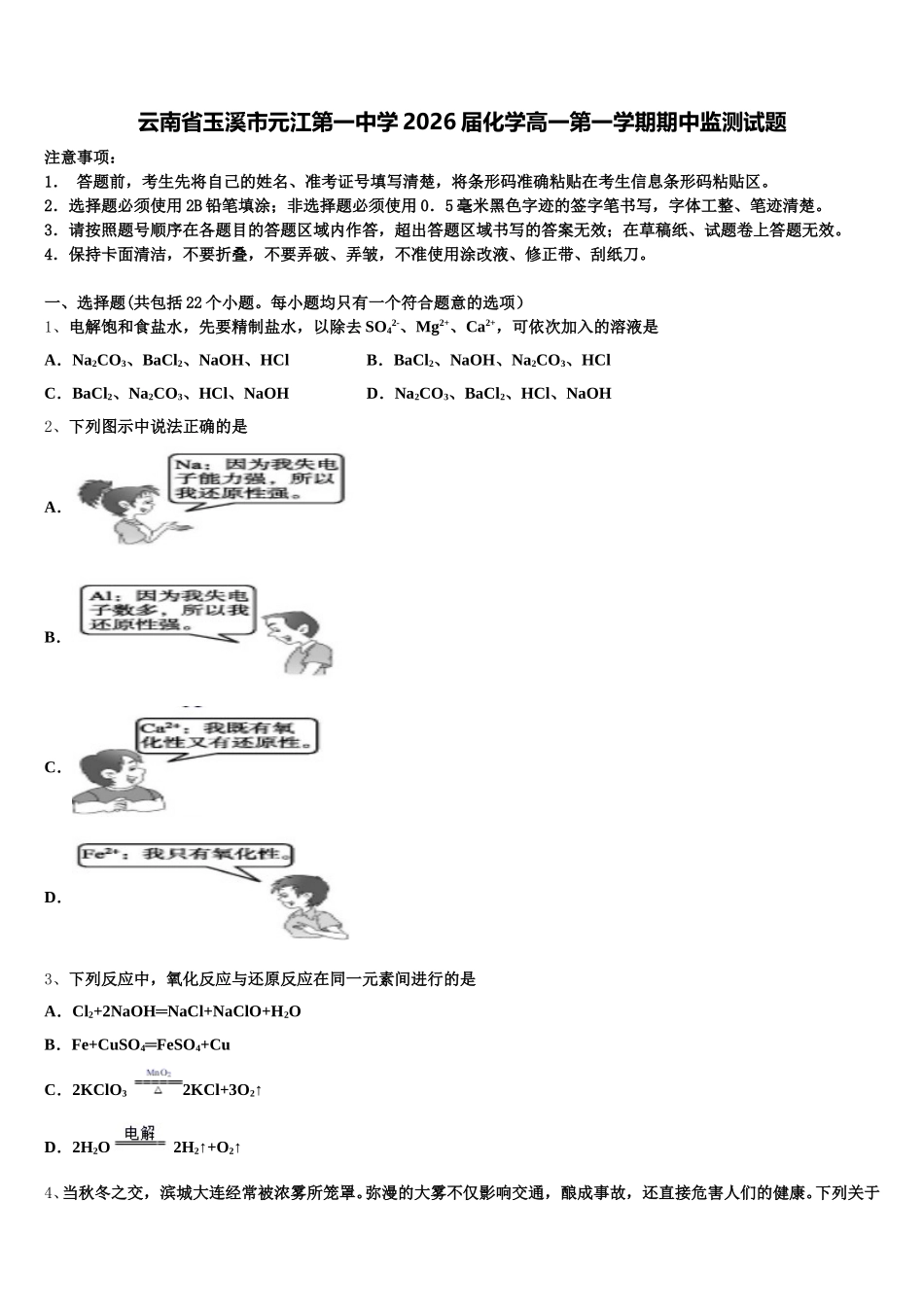 云南省玉溪市元江第一中学2026届化学高一第一学期期中监测试题含解析_第1页