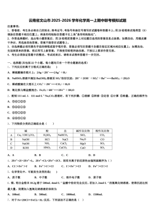 云南省文山市2025-2026学年化学高一上期中联考模拟试题含解析