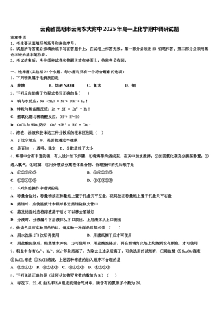 云南省昆明市云南农大附中2025年高一上化学期中调研试题含解析