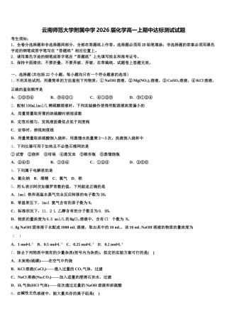 云南师范大学附属中学2026届化学高一上期中达标测试试题含解析