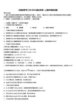 云南省罗平二中2026届化学高一上期中调研试题含解析