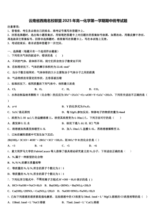 云南省西南名校联盟2025年高一化学第一学期期中统考试题含解析