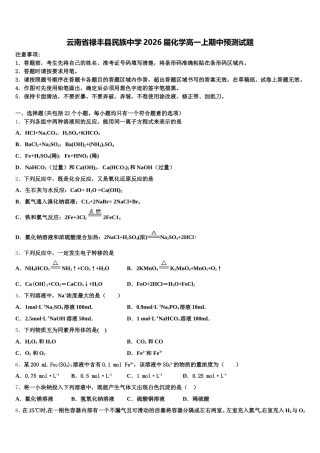 云南省禄丰县民族中学2026届化学高一上期中预测试题含解析