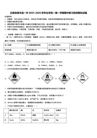 云南省禄丰县一中2025-2026学年化学高一第一学期期中复习检测模拟试题含解析