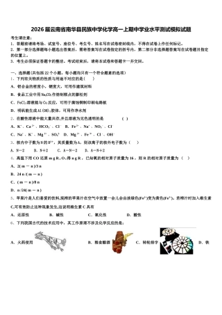 2026届云南省南华县民族中学化学高一上期中学业水平测试模拟试题含解析