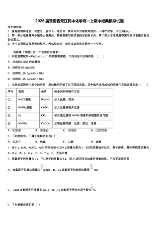 2026届云南省元江民中化学高一上期中经典模拟试题含解析