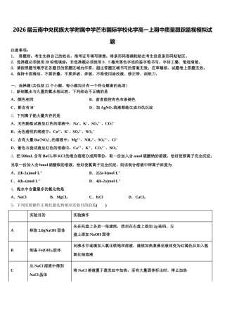 2026届云南中央民族大学附属中学芒市国际学校化学高一上期中质量跟踪监视模拟试题含解析