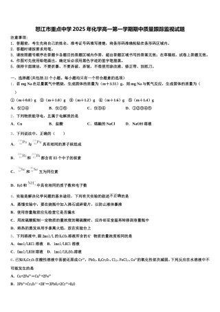 怒江市重点中学2025年化学高一第一学期期中质量跟踪监视试题含解析