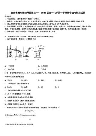 云南省西双版纳州勐海县一中2026届高一化学第一学期期中统考模拟试题含解析