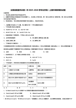 云南省昭通市永善一中2025-2026学年化学高一上期中调研模拟试题含解析