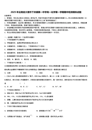 2025年云南省大理市下关镇第一中学高一化学第一学期期中检测模拟试题含解析
