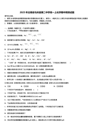 2025年云南省马关县第二中学高一上化学期中预测试题含解析