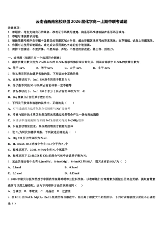 云南省西南名校联盟2026届化学高一上期中联考试题含解析