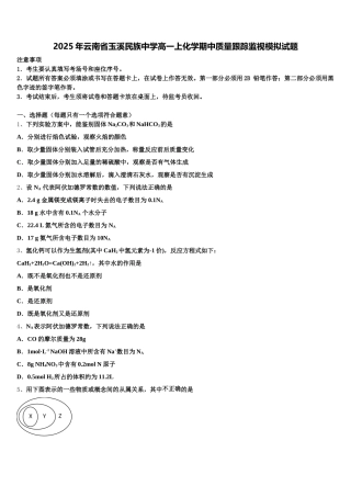 2025年云南省玉溪民族中学高一上化学期中质量跟踪监视模拟试题含解析
