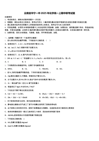 云南省华宁一中2025年化学高一上期中联考试题含解析