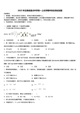 2025年云南省重点中学高一上化学期中综合测试试题含解析