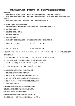 2025年西藏林芝第一中学化学高一第一学期期中质量跟踪监视模拟试题含解析