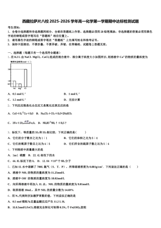 西藏拉萨片八校2025-2026学年高一化学第一学期期中达标检测试题含解析