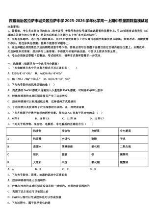 西藏自治区拉萨市城关区拉萨中学2025-2026学年化学高一上期中质量跟踪监视试题含解析