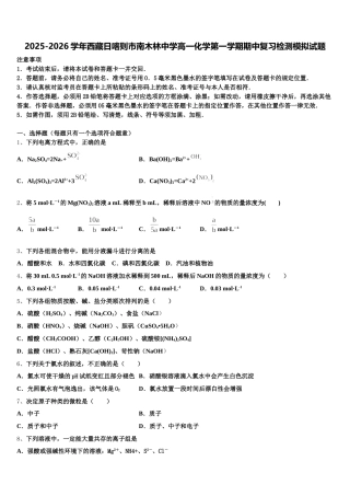 2025-2026学年西藏日喀则市南木林中学高一化学第一学期期中复习检测模拟试题含解析