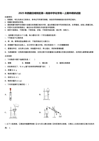 2025年西藏日喀则区第一高级中学化学高一上期中调研试题含解析