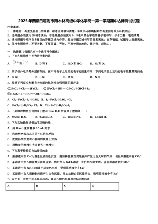 2025年西藏日喀则市南木林高级中学化学高一第一学期期中达标测试试题含解析
