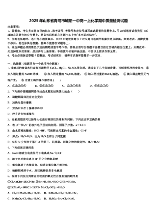 2025年山东省青岛市城阳一中高一上化学期中质量检测试题含解析