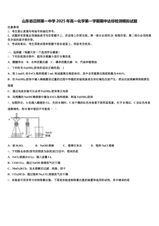 山东省日照第一中学2025年高一化学第一学期期中达标检测模拟试题含解析