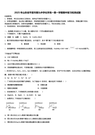 2025年山东省平度市第九中学化学高一第一学期期中复习检测试题含解析