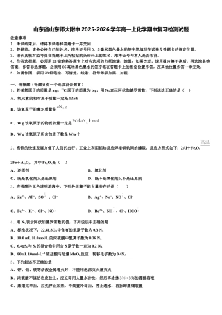 山东省山东师大附中2025-2026学年高一上化学期中复习检测试题含解析